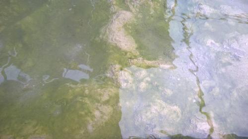 丽城温泉酒店 阿巴诺泰尔梅 外观 照片
